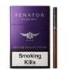 Senator Nano Blueberry Sigara
