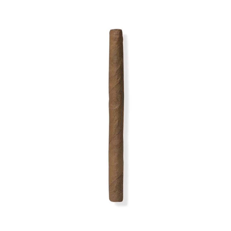 Davidoff Mini Cigarillos Gold Puro Satın Al - Tobacco Sepeti